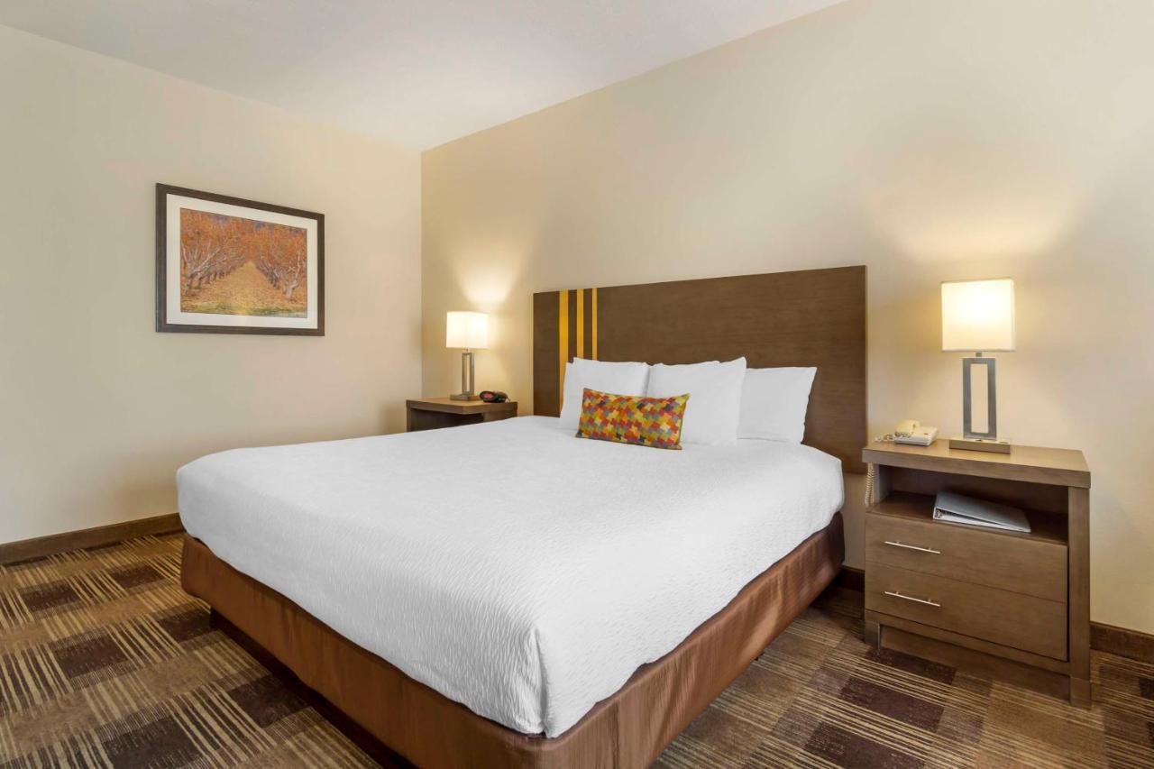 Prosser Best Western Plus The Inn At Horse Heaven מראה חיצוני תמונה